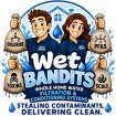  Wet Bandits