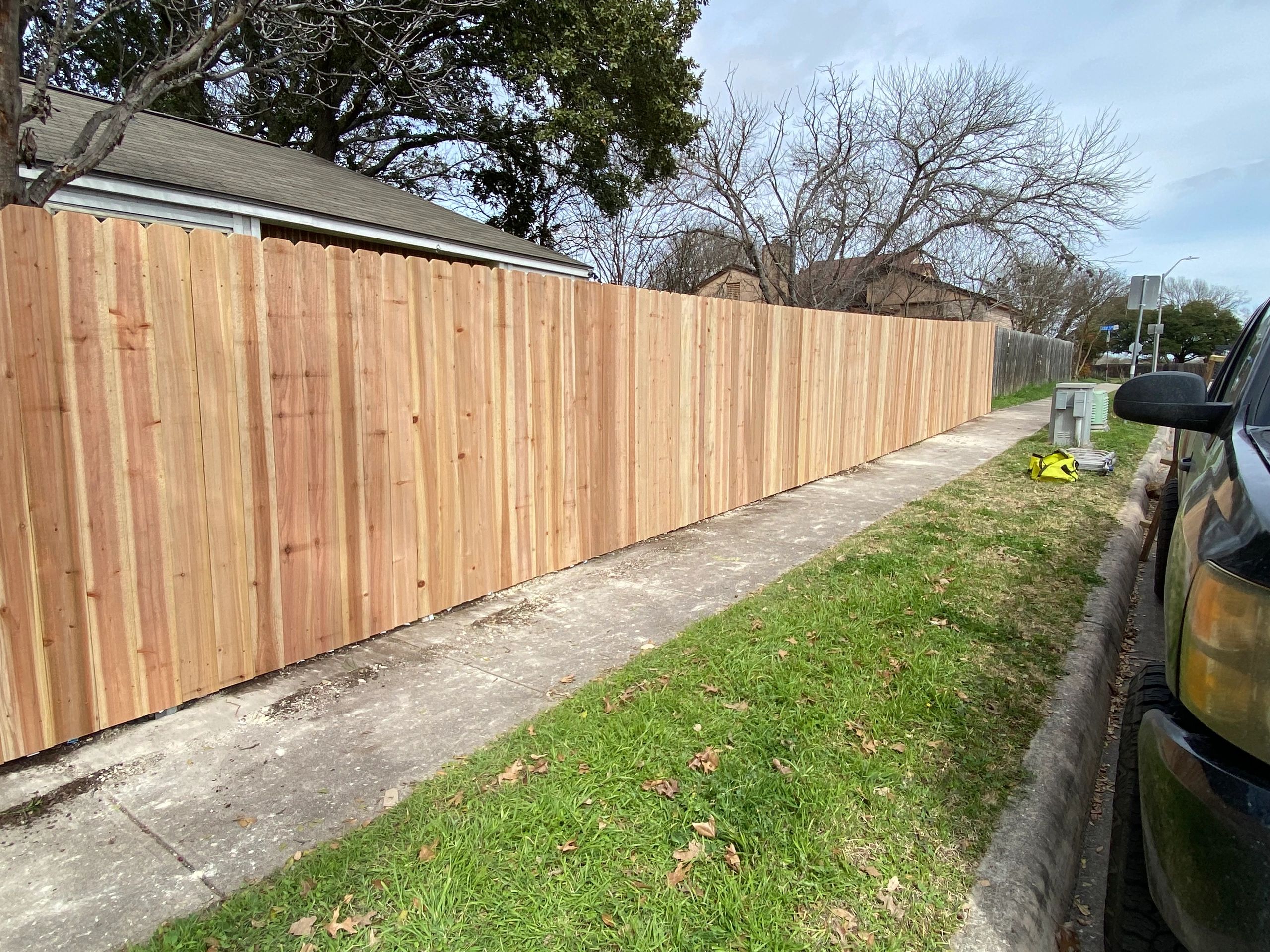 Cedar vs Pressure Treated Pine