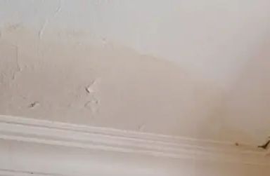 roof leak repair in Sacramento home