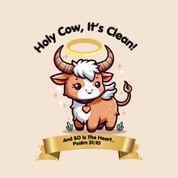 holycowclean51.com