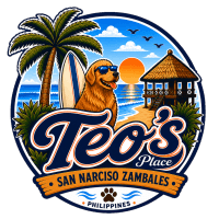 Teo's Place