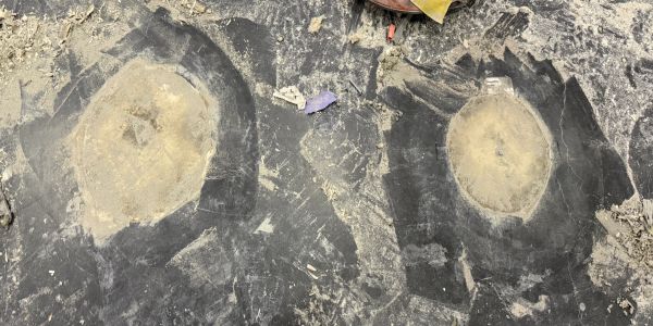 Two large circular patches on a black surface.