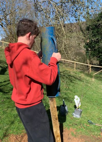 Person in a red hoodie installing a blue post in a grassy area.