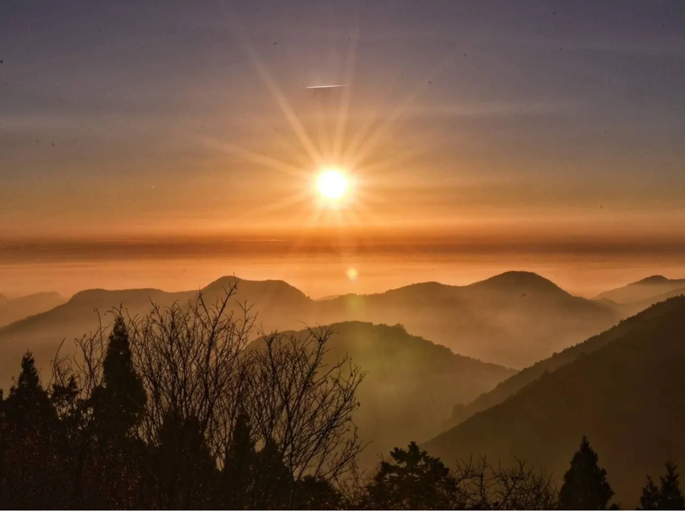嘉義阿里山包車景點-阿里山日出