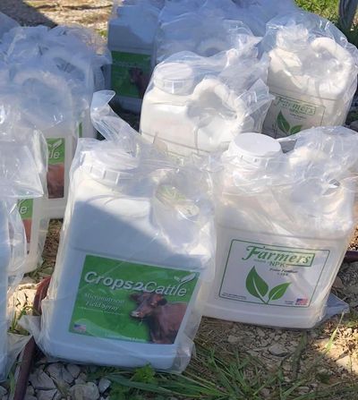 Slow release fertilizer for hay and pasture