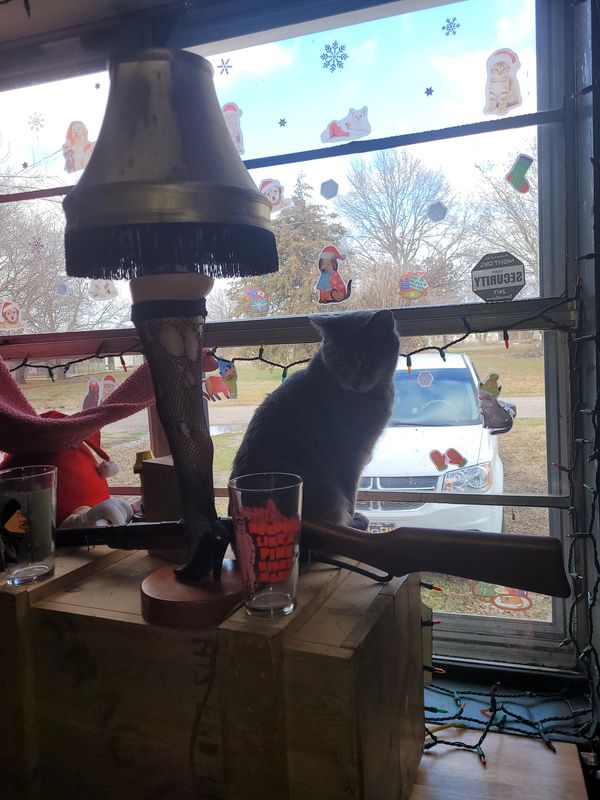 A cat sits on a wooden crate by a holiday-decorated window with a leg lamp and glasses.