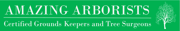 Amazing Arborists