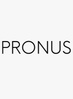 Pronus Limited - Turnkey Green Energy & Passivhaus Consultancy 