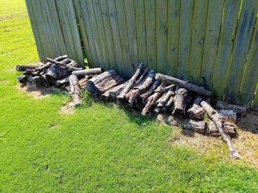 wood limbs brush removal