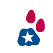 Salty Cat Guide Service