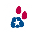 Salty Cat Guide Service
