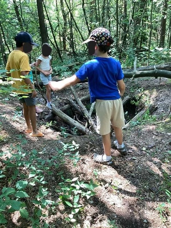 Three children exploring a wooded area near fallen logs and a small pit.