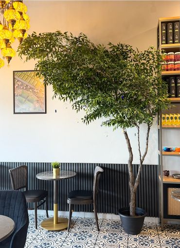 Cozy cafe corner with a round table, two chairs, and a large potted tree.