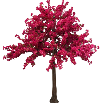 A vibrant pink flowering tree with a sturdy brown trunk.