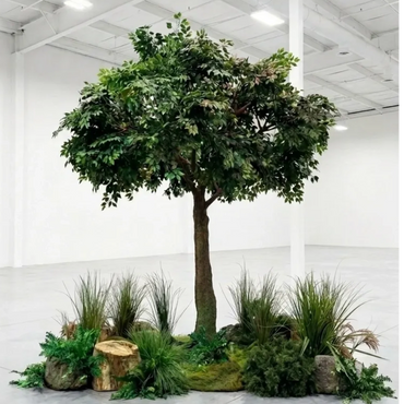 A lush green tree and plants displayed indoors in a spacious white room.