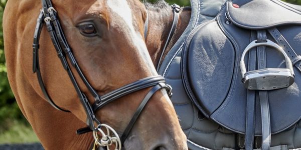 Sac De Transport Selle John Whitaker Bleu Taille Unique – Occasion