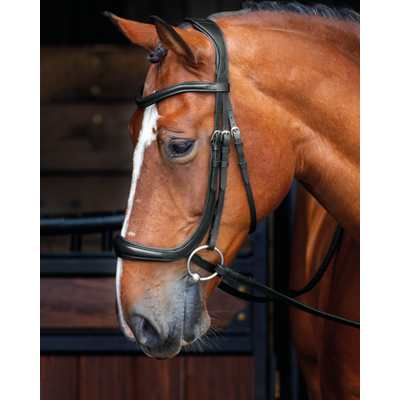 Premier Equine Primo Hunter Cavesson Noseband Black/Brown - Build a Bridle Premier Equine Primo Hunter Cavesson Noseband Black/Brown - Build a Bridle