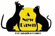 A New Dawn Pet Adoption