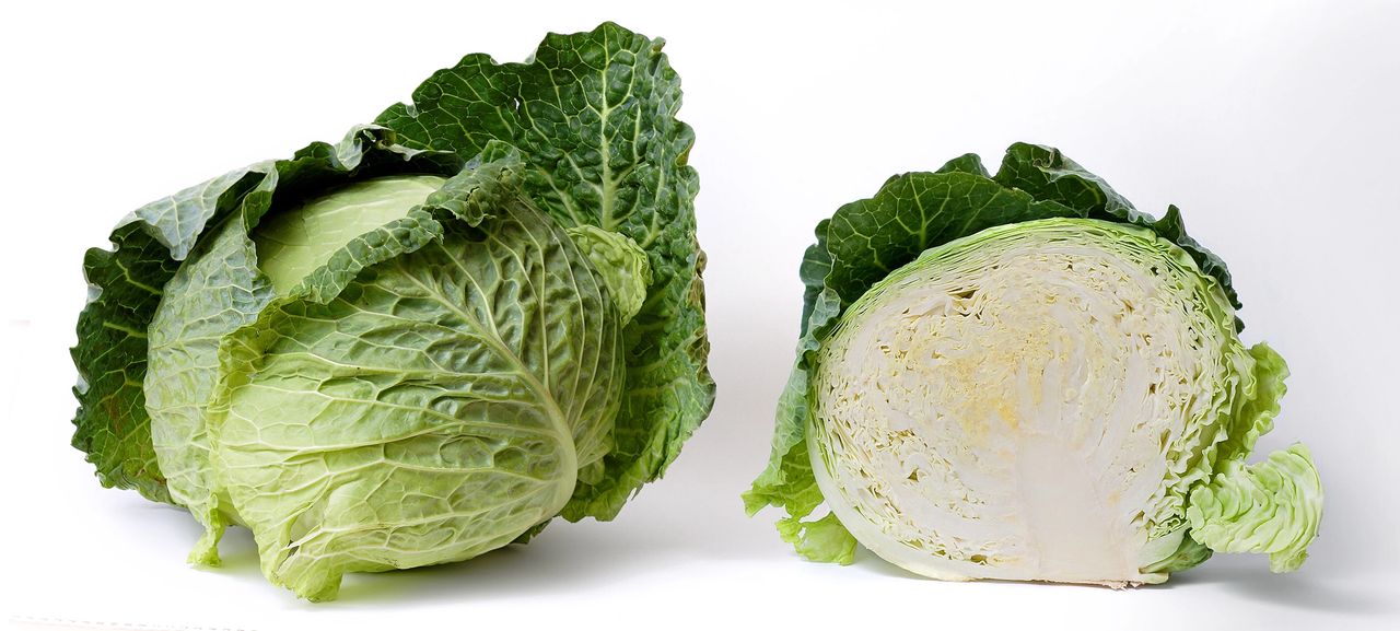 How to Use Cabbage Leaves for Engorgement, Mastitis, and Weaning