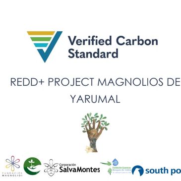 Verified Carbon Standard logo and REDD+ Project Magnolios de Yarumal with partner logos.