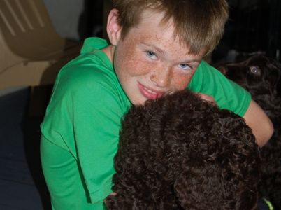 Chocolate Australian Labradoodle with a boy