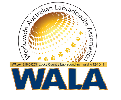 Worldwide Australian Labradoodle Association Logo