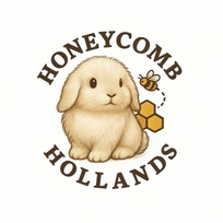 Honeycomb Hollands