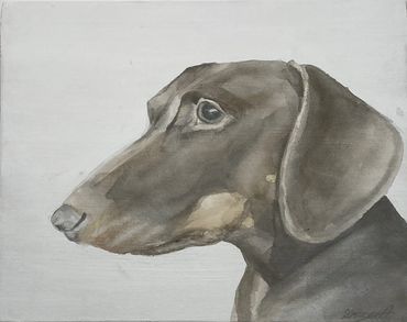 Watercolor painting of a dachshund dog in profile.