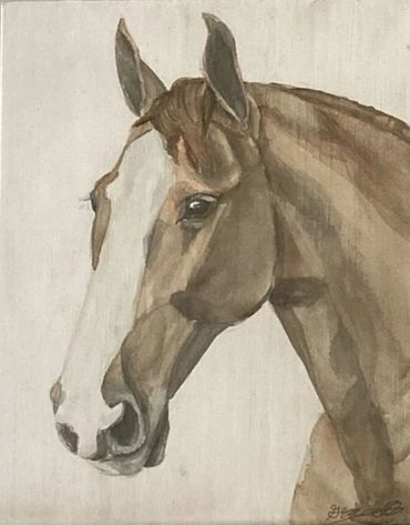 Painting of a horse's head with brown and white markings.