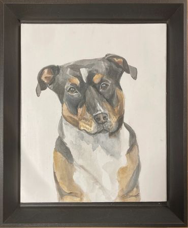 Watercolor portrait of a brown, white and black dog