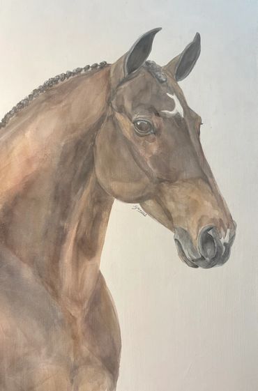 Watercolor portrait of a bay warmblood horse