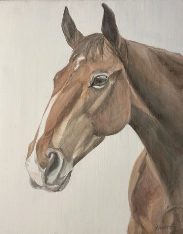 Watercolor portrait of a horse head