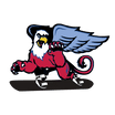 LAHS Snow Sports Club