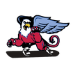 LAHS Snow Sports Club