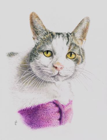 Derwent Artists Pencil on medium weight cartridge paper.