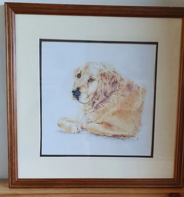 Framed realistic painting of a golden retriever lying down.