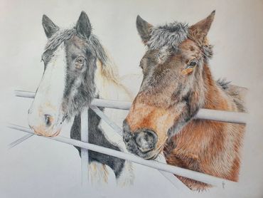 Derwent Artists Pencils on medium weight cartridge paper