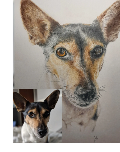Realistic colored pencil drawing of a dog resembling the photo inset.