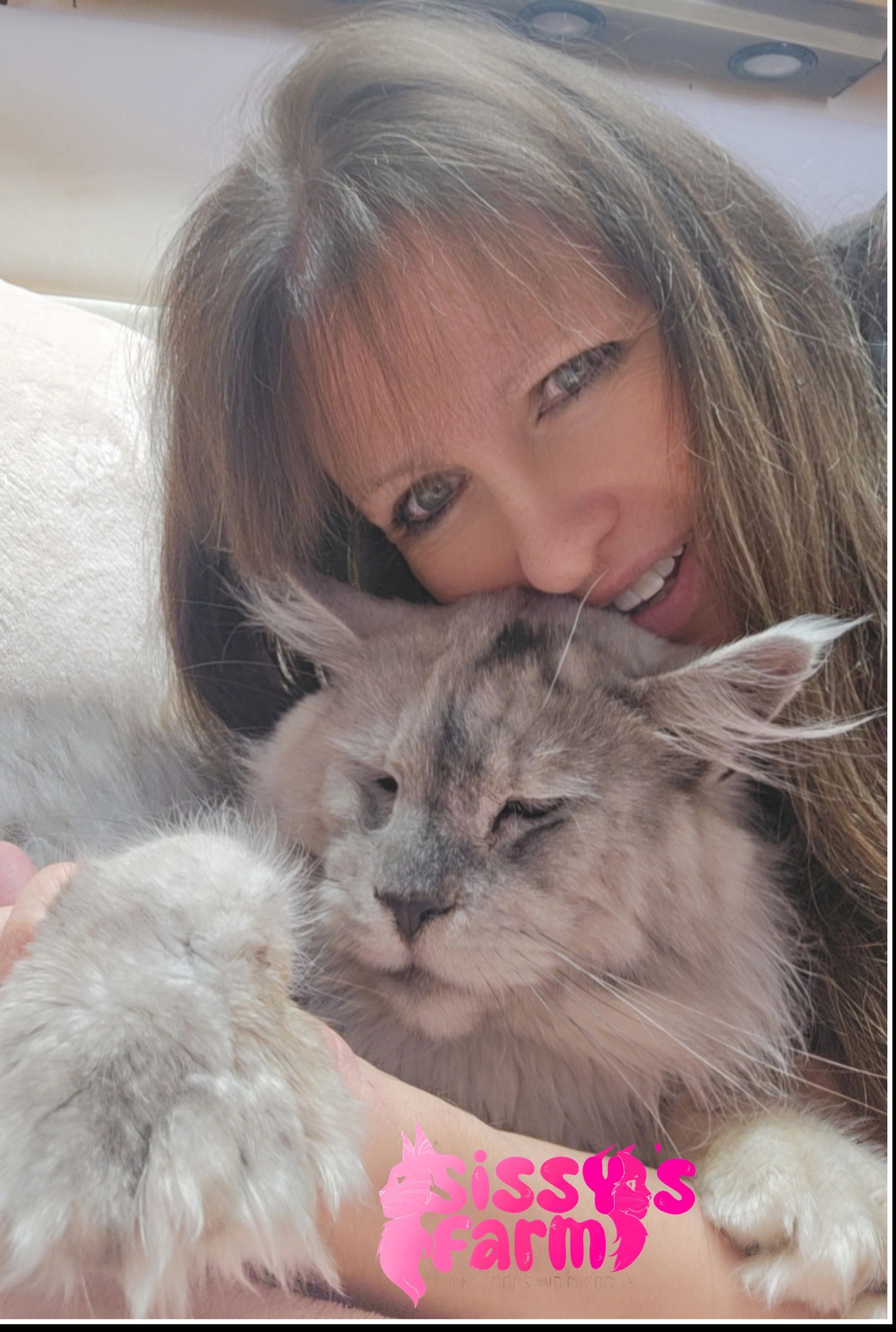 Maine Coon cats are known as the Gentle Giants of the cat world.  Maine Coons love to cuddle and are the best therapy for mental health.  
