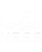 NESS