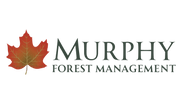 Murphy Forest Management