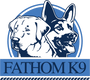 FATHOM K9