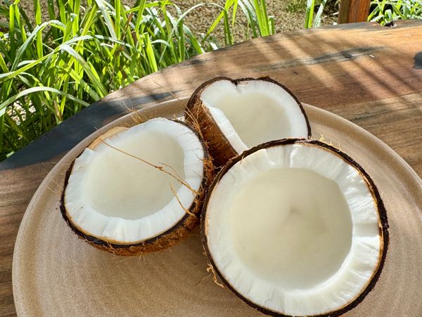 Three halves of a fresh coconut on a beige plate.