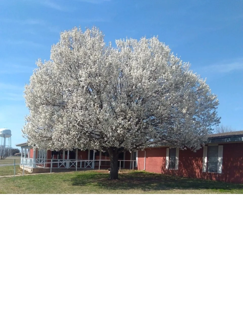 House Of Mercy Enterprises