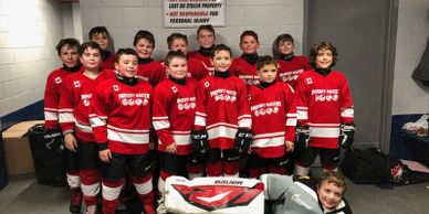 Proud supporter of Minor Hockey in the Soo.
Pictured above is our 2019/2020
Property Masters Atom "D