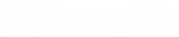 PromptVu 1.0