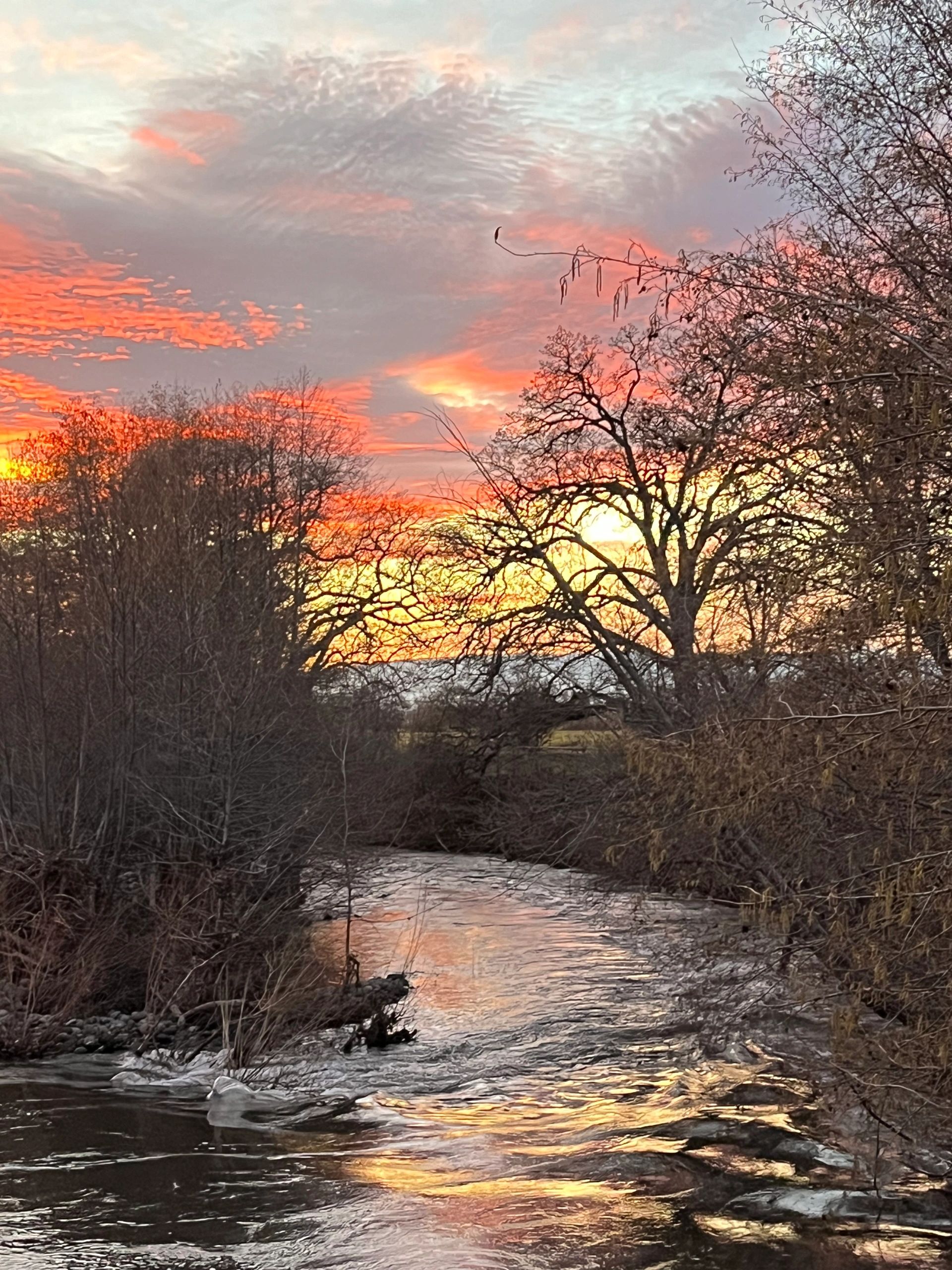 public-records-requests