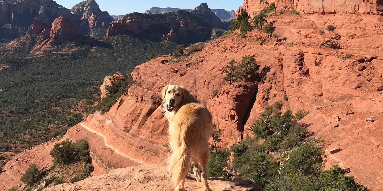 Trail Lovers hiking and MTB tours are the best option in Sedona for corporate retreats & families.