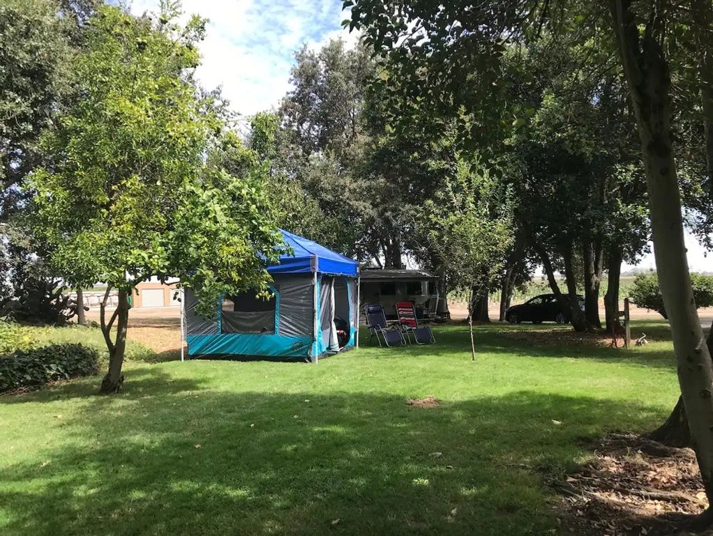 A Pop-Up Tent in the Orchard