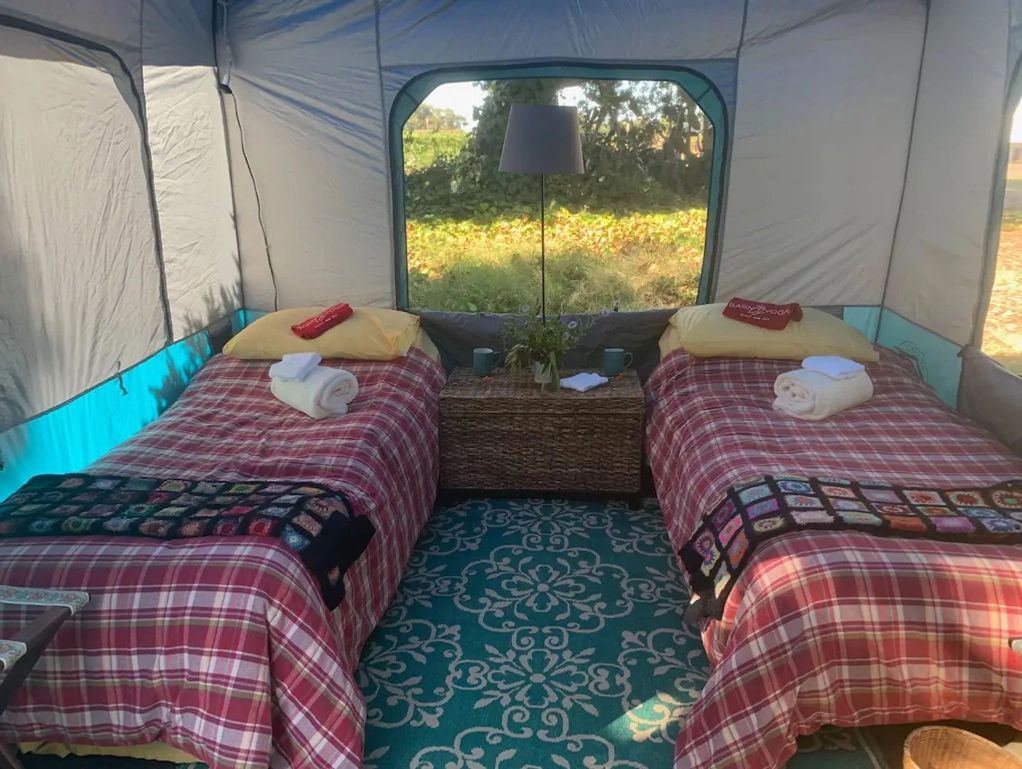 Orchard Pop-Up Tent with twin beds.
